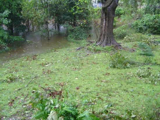 Hurricane debris and flooding in Baton Rouge