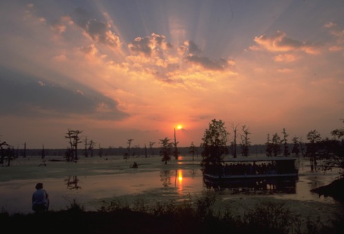 Sunset in the beautiful Louisiana swamp