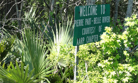 Atchafalaya Swamp Scene in South Louisiana
