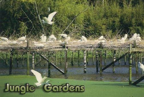 Jungle Gardens Louisiana