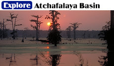 Explore the Atchafalaya Basin, the nation’s largest river swamp, containing almost one million acres of the nation’s most significant bottomland hardwoods, swamps, bayous and backwater lakes.